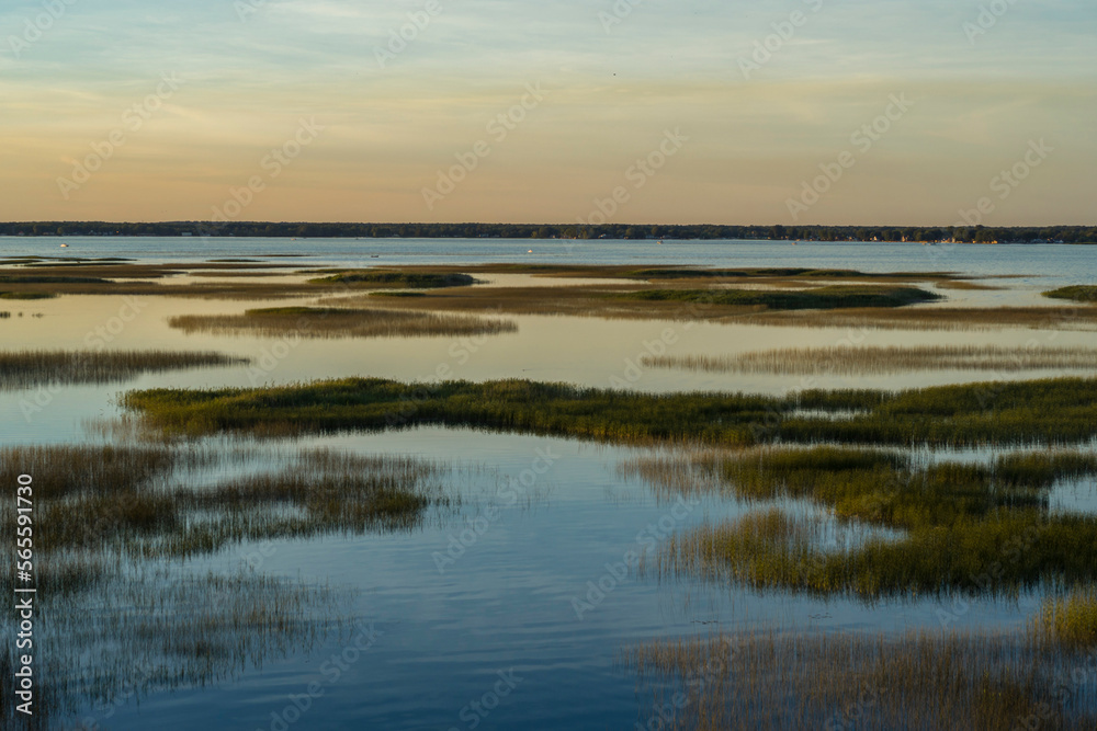 Wetlands Grasses, St. Clair River Estuary, Michigan