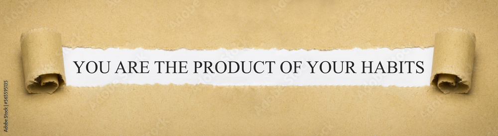 you are the product of your habits