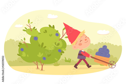 Garden gnome carrying wood wheelbarrow, happy elf boy in red hat picking summer blueberry