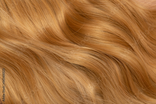 Red hair close-up as a background. Women s long orange hair. Beautifully styled wavy shiny curls. Hair coloring bright shades. Hairdressing procedures  extension.