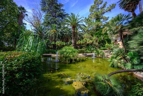 Jardins d'Alfabia photo