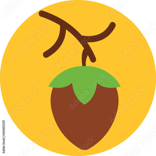 Acorn Vector Icon
