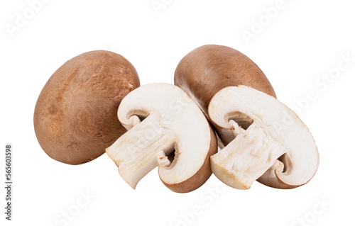 Fresh champignon mushrooms isolated on transparent png