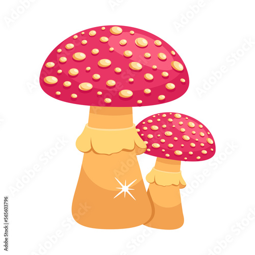 Mushrooms 