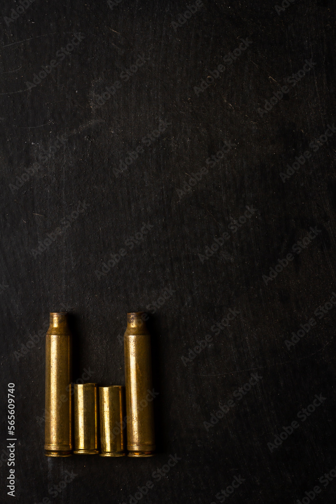 Empty bullet cartridges