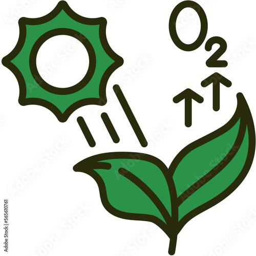 photosynthesis icon