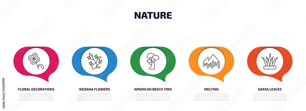 nature infographic element with outline icons and 5 step or option. nature icons such as floral decorations, ikebana flowers, american beech tree, melting, grass leaves vector. nature infographic element with outline icons and 5 step or option. nature icons such as floral decorations, ikebana flowers, american beech tree, melting, grass leaves vector.