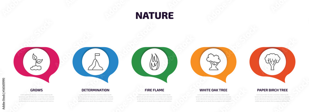 nature infographic element with outline icons and 5 step or option. nature icons such as grows, determination, fire flame, white oak tree, paper birch tree vector. nature infographic element with outline icons and 5 step or option. nature icons such as grows, determination, fire flame, white oak tree, paper birch tree vector.