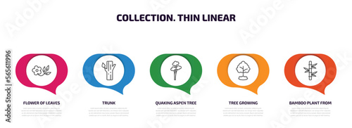 collection. thin linear infographic element with outline icons and 5 step or option. collection. thin linear icons such as flower of leaves, trunk, quaking aspen tree, tree growing, bamboo plant