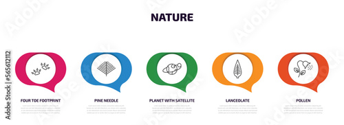 nature infographic element with outline icons and 5 step or option. nature icons such as four toe footprint, pine needle, planet with satellite, lanceolate, pollen vector.