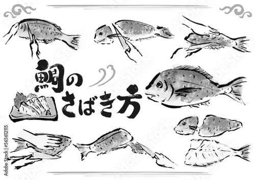 鯛のさばき方　魚をさばく手順　手描き和風イラストセット　白黒,モノクロ,単色, ベクター