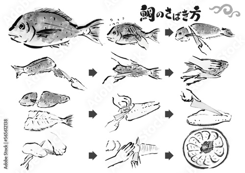 鯛のさばき方　魚をさばく手順　手描き和風イラストセット　白黒,モノクロ,単色, ベクター