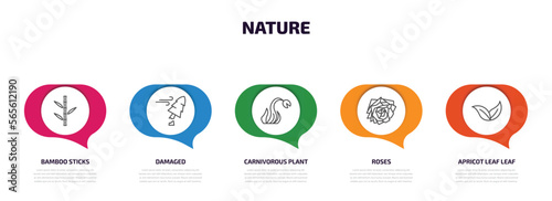 nature infographic element with outline icons and 5 step or option. nature icons such as bamboo sticks, damaged, carnivorous plant, roses, apricot leaf leaf vector.