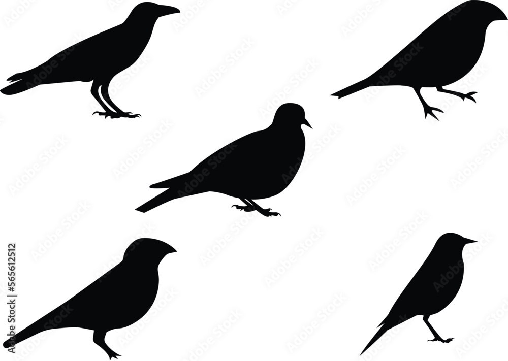 collection of birds. Set of decorative bird silhouettes. Vector illustration. Birds flying and sitting collection of birds. Set of decorative bird silhouettes. Vector illustration. Birds flying and sitting