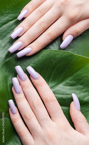 Soft violet female manicure with monstera leaf.