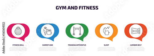 gym and fitness infographic element with outline icons and 5 step or option. gym and fitness icons such as fitness ball, carrot training apparatus, sleep, lumbar belt vector.
