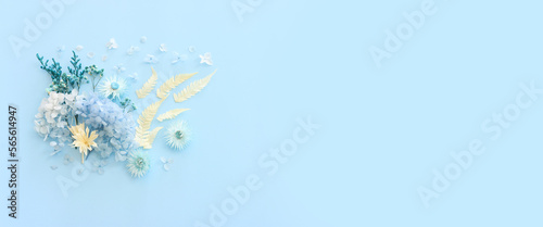 Top view image of white and blue dry flowers over pastel background .Flat lay
