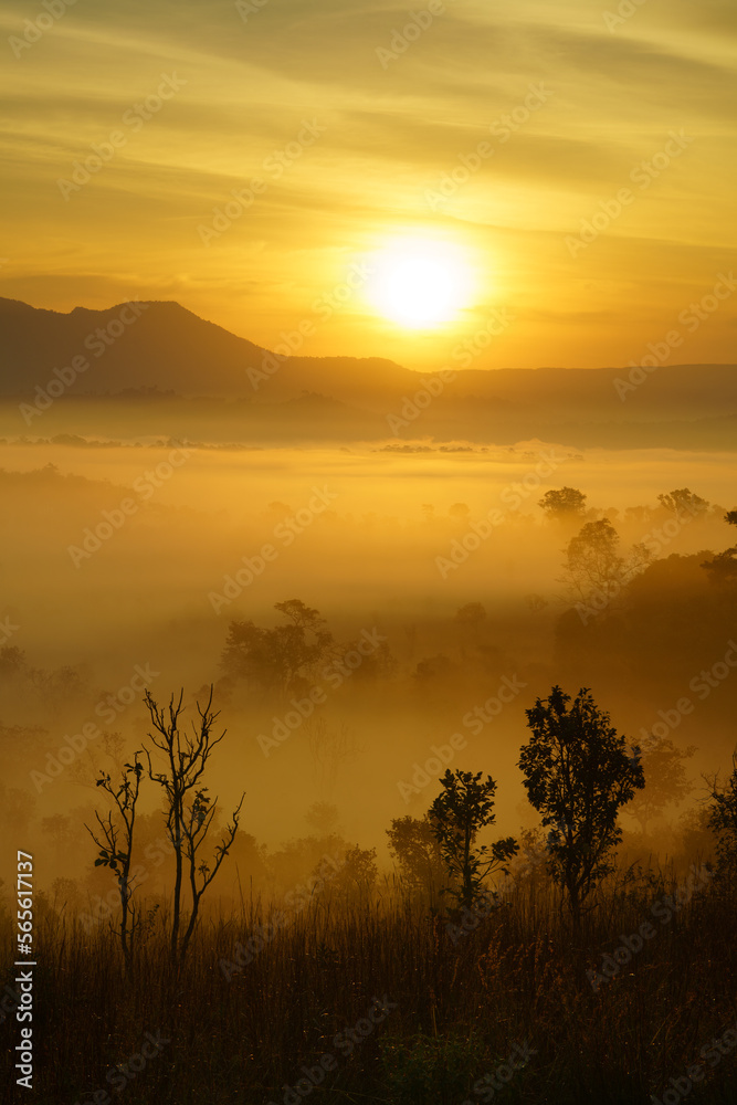 Fototapeta premium Beautiful savanna landscape. Thung Salaeng Luang area, Phetchabun province, Thailand.