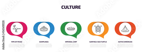 culture infographic element with outline icons and 5 step or option. culture icons such as pipe of peace, dumplings, imperial carp, surfing a sea turtle, native american wigwam vector.