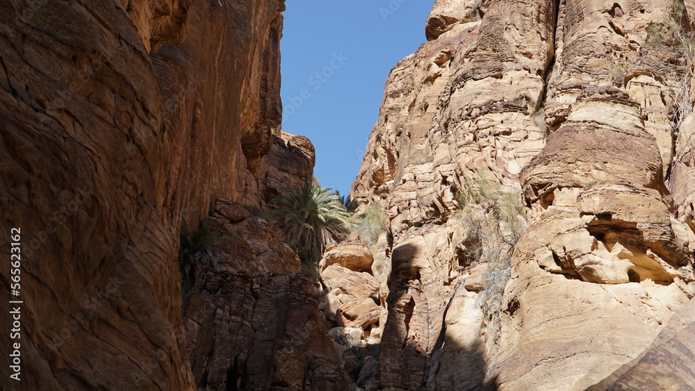 Looking up in the canyon of Wadi Ghuweir in Dana in Jordan in the month of January
