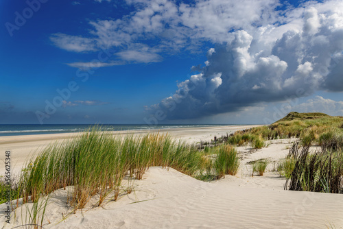 Beach on Juist  East Frisian Islands  Germany.