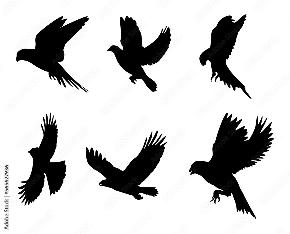 Fototapeta premium The illustrations and clipart. set of silhouettes of birds views from the right to the left.