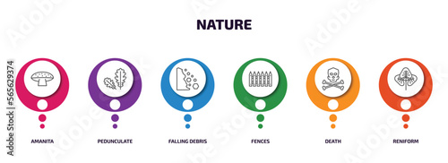 nature infographic element with outline icons and 6 step or option. nature icons such as amanita, pedunculate, falling debris, fences, death, reniform vector.