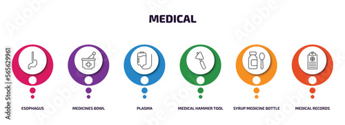 medical infographic element with outline icons and 6 step or option. medical icons such as esophagus, medicines bowl, plasma, medical hammer tool, syrup medicine bottle, records vector.