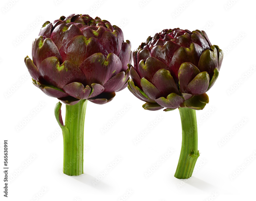 Obraz premium Carciofi freschi