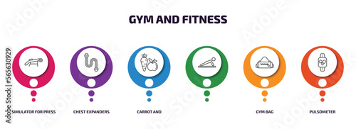 gym and fitness infographic element with outline icons and 6 step or option. gym and fitness icons such as simulator for press, chest expanders, carrot , gym bag, pulsometer vector.