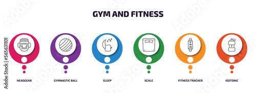 gym and fitness infographic element with outline icons and 6 step or option. gym and fitness icons such as headgear, gymnastic ball, sleep, scale, fitness tracker, isotonic vector.