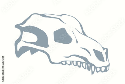 Bones and skull of a horse. Vector drawing