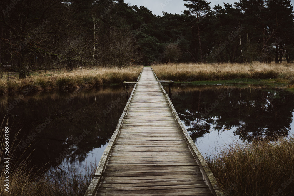 Brücke Maasduinen Brücke Maasduinen