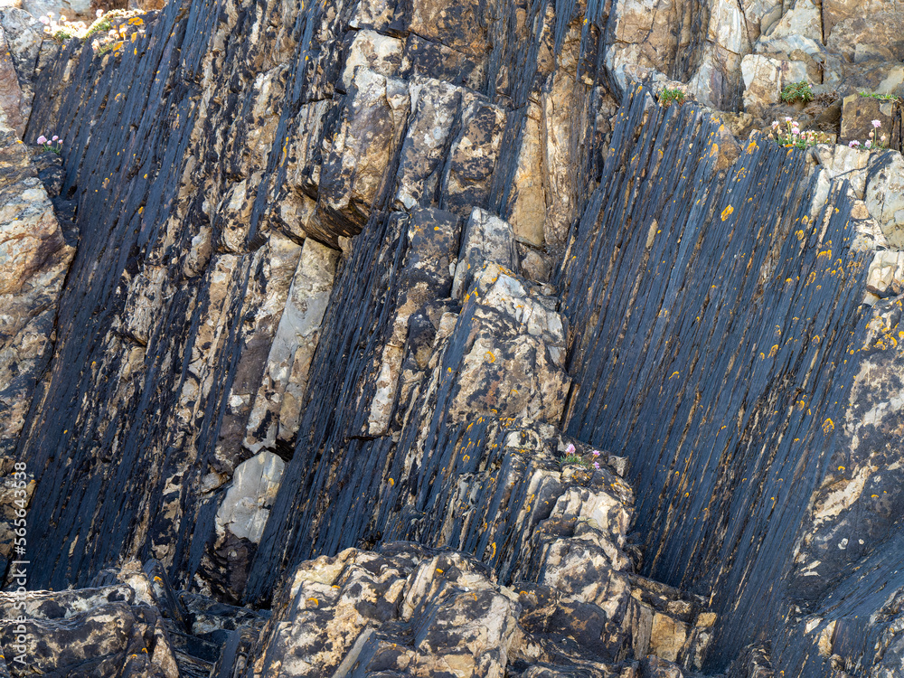 A variety of geological strata as a background. A variety of geological strata as a background.