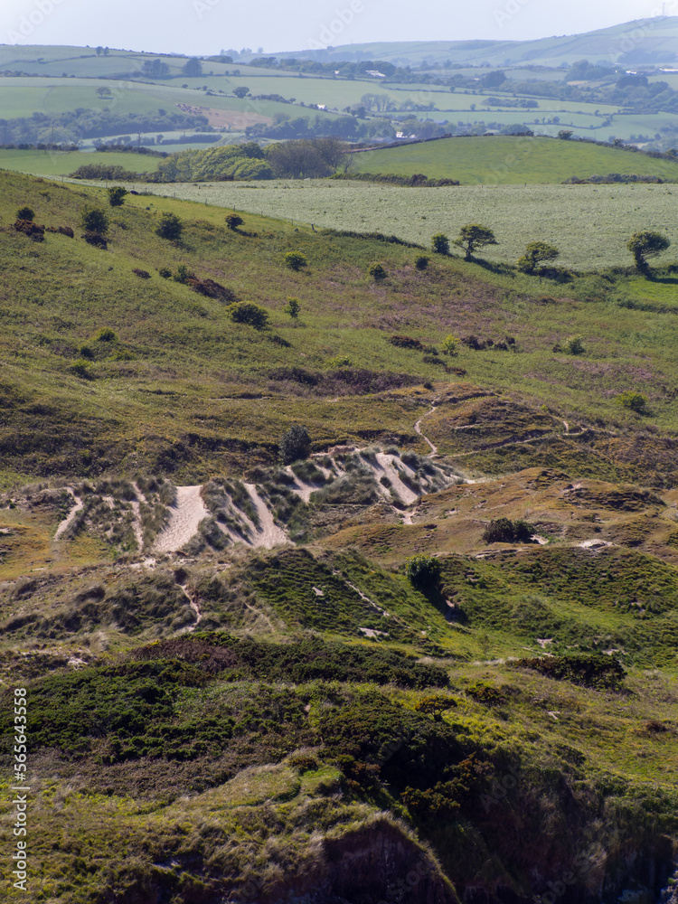 Picturesque dunes with shrubs and hills in the Ireland, day. North European seaside landscape. Nature of Ireland.