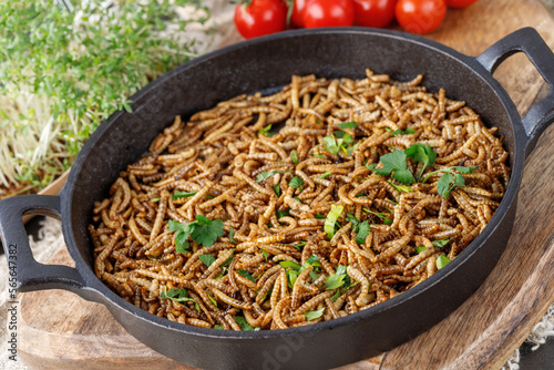 Cooked fried edible mealworms with spice and herbs in frying pan on wooden board. Meal worms as alternative protein source.