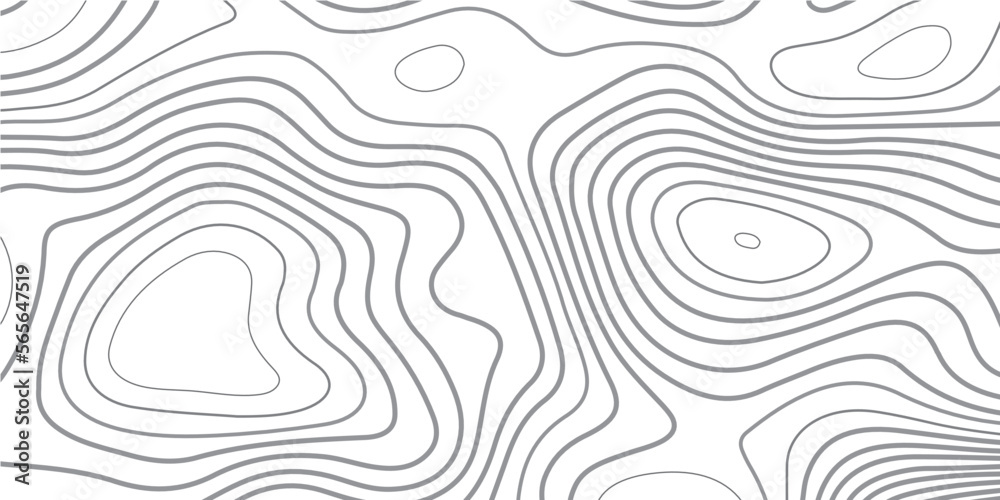 White height of the topographic contour in lines and contours. Topographic map and landscape texture background. Topography lines and circles background. Abstract white topography vector