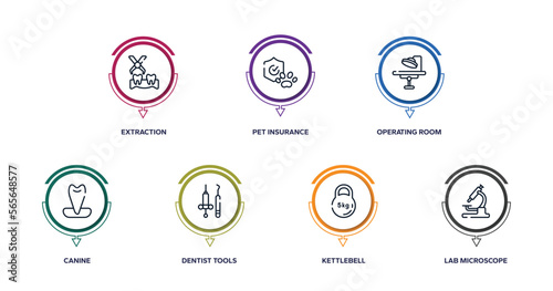 health outline icons with infographic template. thin line icons such as extraction, pet insurance, operating room, canine, dentist tools, kettlebell, lab microscope vector.