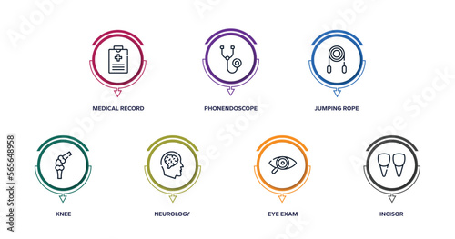 dentist outline icons with infographic template. thin line icons such as medical record, phonendoscope, jumping rope, knee, neurology, eye exam, incisor vector.
