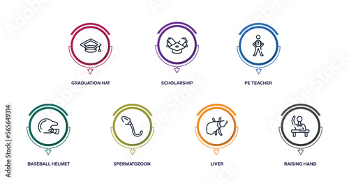 learning outline icons with infographic template. thin line icons such as graduation hat, scholarship, pe teacher, baseball helmet, spermatozoon, liver, raising hand vector.