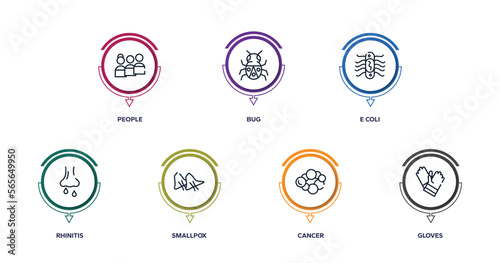 outline icons with infographic template. thin line icons such as people, bug, e coli, rhinitis, smallpox, cancer, gloves vector.