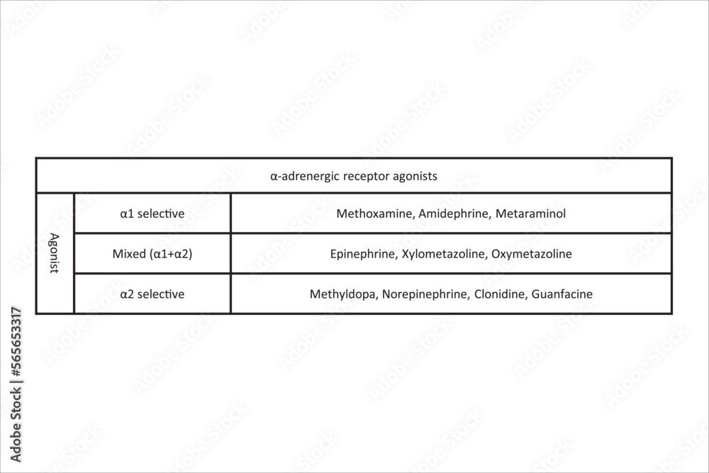 Table showing classification of α adrenergic receptor agonist drugs with examples. Black and white simple design. Table showing classification of α adrenergic receptor agonist drugs with examples. Black and white simple design.