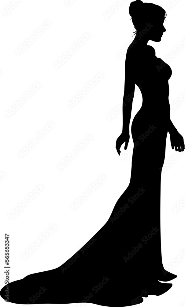 A woman bride in a bridal wedding dress in a silhouette A woman bride in a bridal wedding dress in a silhouette
