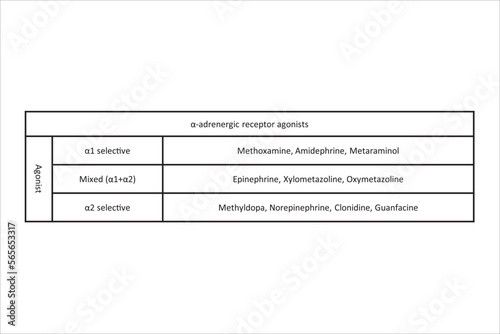 Table showing classification of α adrenergic receptor agonist drugs with examples. Black and white simple design. photo