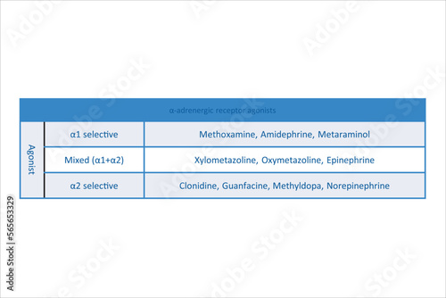 Table showing classification of α adrenergic receptor agonist drugs with examples. Pink background and text. photo