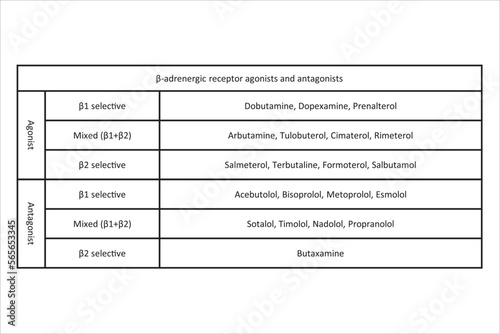 Table showing classification of β adrenergic receptor agonists and atagonists drugs with examples. Black and white simple design.