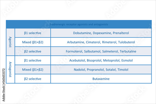 Table showing classification of β adrenergic receptor agonists and atagonists drugs with examples. Pink background and text. photo