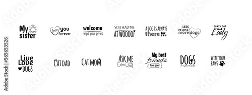 Set hand lettering positive quote about cat and dog, pet care phrases, calligraphy vector illustration collection