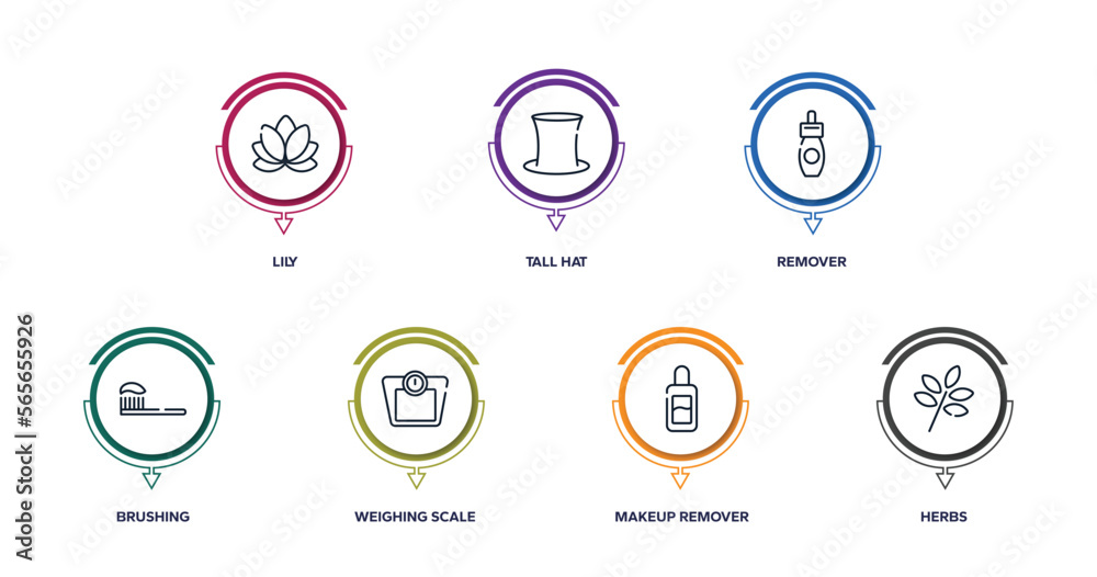 spa elements outline icons with infographic template. thin line icons such as lily, tall hat, remover, brushing, weighing scale, makeup remover, herbs vector. spa elements outline icons with infographic template. thin line icons such as lily, tall hat, remover, brushing, weighing scale, makeup remover, herbs vector.
