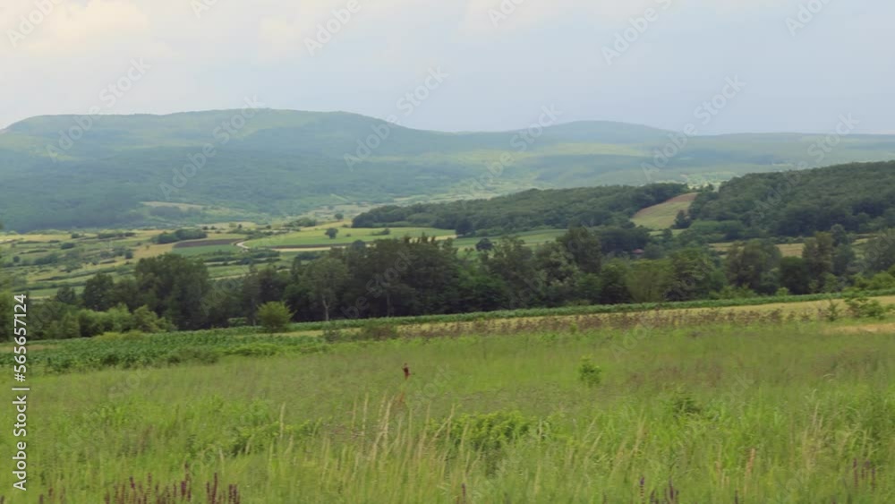 East Serbia Rural Green Fields and Hills Landscape Panorama at Spring Day East Serbia Rural Green Fields and Hills Landscape Panorama at Spring Day